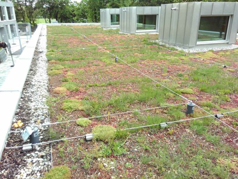 Welsch und Egger Landschaftsarchitekten Bauherr: Landeshauptstadt München Projektort: Wegenerstrasse Projekt: Neubau Kinderhaus und Jugendtreff am Harthof