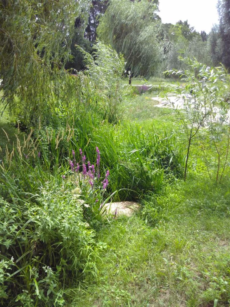 Welsch und Egger Landschaftsarchitekten Bauherr: Regens Wagner Stiftung Zell Projekt: Begegnungspark Zell mit blindengerechter Hauptwegeführung