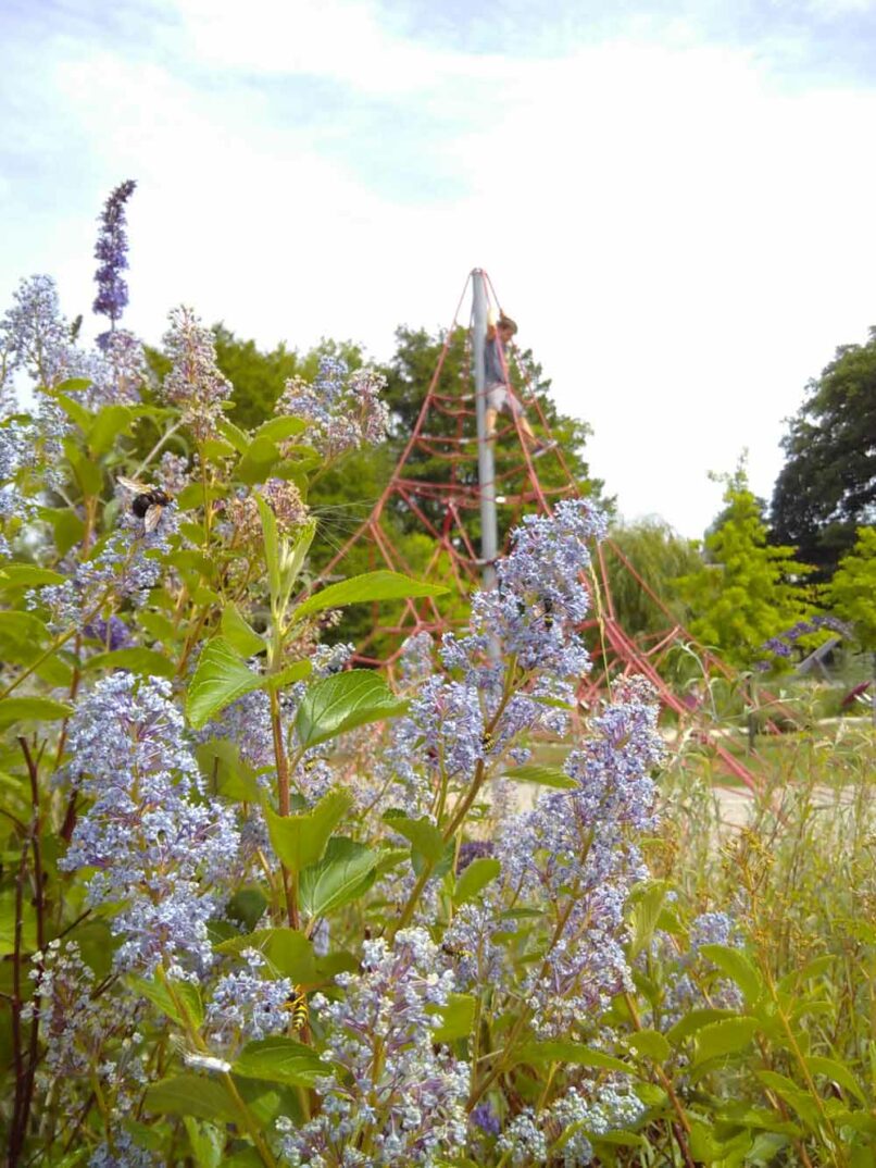 Welsch und Egger Landschaftsarchitekten Bauherr: Regens Wagner Stiftung Zell Projekt: Begegnungspark Zell mit blindengerechter Hauptwegeführung
