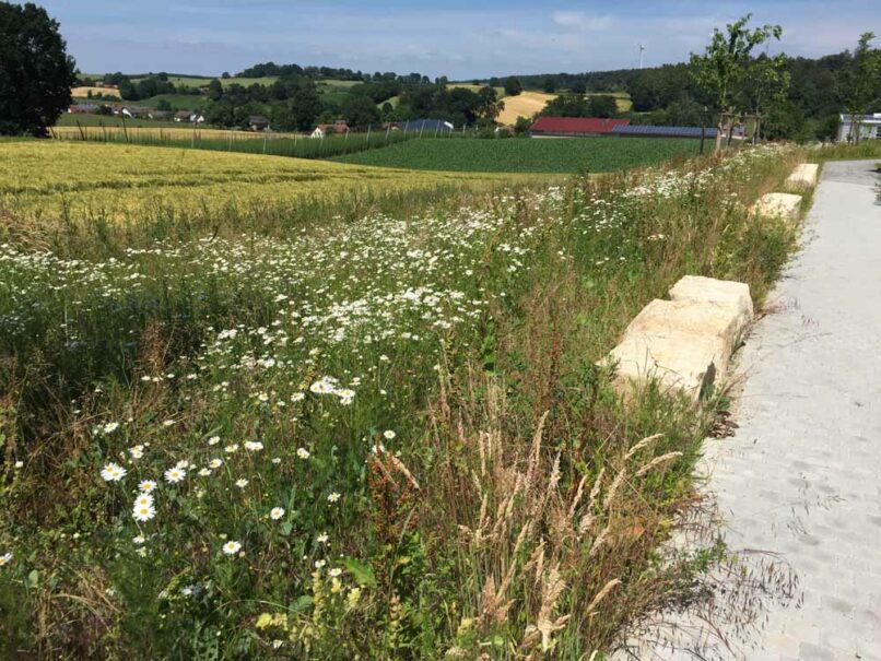Welsch und Egger Landschaftsarchitekten Auftraggeber: Regens Wagner Hohenwart Ausführungsort: Pfaffenhofen an der Ilm Architekturbüro : Haindl + Kollegen Architekten Projekt: Neubau einer Werkstätte für Menschen mit Behinderung (WfbM) mit 72 Plätzen und einer Förderstätte mit 36 Plätzen