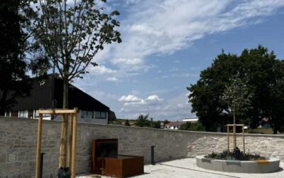 Welsch und Egger Landschaftsarchitekten_Regens Wagner Lauterhofen_Lauterhofen_Sanierung Park_06 Welsch und Egger Landschaftsarchitekten Bauherrin: Regens Wagner Stiftung Lauterhofen Projekt: Sanierung Park Fotoinhalt: Pflanztröge mit Betonsitzblöcken, Brunnen, Natursteinmauer, Wasser